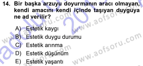Görsel Estetik Dersi 2015 - 2016 Yılı (Vize) Ara Sınav Soruları 14. Soru