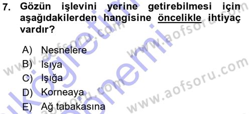 Görsel Estetik Dersi 2015 - 2016 Yılı (Vize) Ara Sınav Soruları 7. Soru