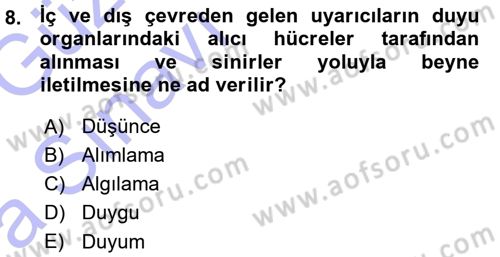 Görsel Estetik Dersi 2015 - 2016 Yılı (Vize) Ara Sınav Soruları 8. Soru
