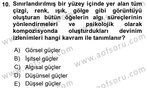 Görsel Estetik Dersi 2016 - 2017 Yılı 3 Ders Sınav Soruları 10. Soru