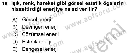 Görsel Estetik Dersi 2016 - 2017 Yılı 3 Ders Sınav Soruları 16. Soru