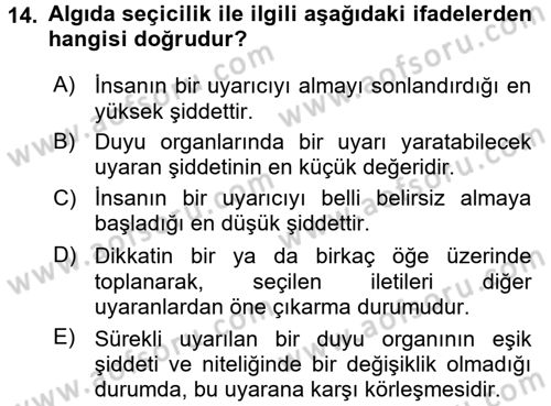 Görsel Estetik Dersi 2016 - 2017 Yılı (Vize) Ara Sınav Soruları 14. Soru