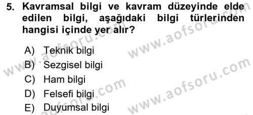 Görsel Estetik Dersi 2016 - 2017 Yılı (Vize) Ara Sınav Soruları 5. Soru
