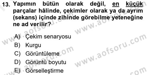 Görsel Estetik Dersi 2016 - 2017 Yılı (Final) Dönem Sonu Sınav Soruları 13. Soru