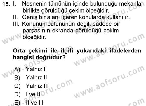 Görsel Estetik Dersi 2016 - 2017 Yılı (Final) Dönem Sonu Sınav Soruları 15. Soru