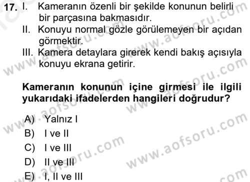 Görsel Estetik Dersi 2016 - 2017 Yılı (Final) Dönem Sonu Sınav Soruları 17. Soru