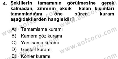 Görsel Estetik Dersi 2016 - 2017 Yılı (Final) Dönem Sonu Sınav Soruları 4. Soru