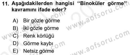 Görsel Estetik Dersi 2017 - 2018 Yılı 3 Ders Sınav Soruları 11. Soru