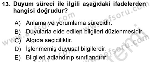 Görsel Estetik Dersi 2017 - 2018 Yılı (Vize) Ara Sınav Soruları 13. Soru