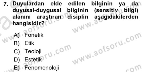 Görsel Estetik Dersi 2017 - 2018 Yılı (Vize) Ara Sınav Soruları 7. Soru