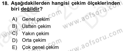 Görsel Estetik Dersi 2017 - 2018 Yılı (Final) Dönem Sonu Sınav Soruları 18. Soru