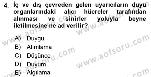 Görsel Estetik Dersi 2017 - 2018 Yılı (Final) Dönem Sonu Sınav Soruları 4. Soru