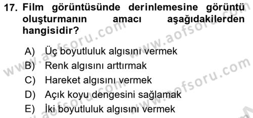 Görsel Estetik Dersi 2018 - 2019 Yılı 3 Ders Sınav Soruları 17. Soru