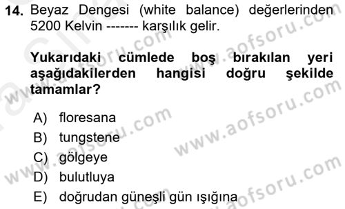 Görsel Estetik Dersi 2018 - 2019 Yılı (Vize) Ara Sınav Soruları 14. Soru