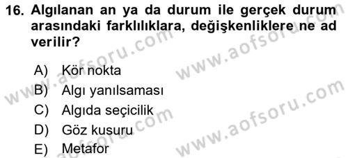 Görsel Estetik Dersi 2018 - 2019 Yılı (Vize) Ara Sınav Soruları 16. Soru