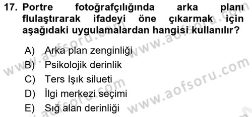 Görsel Estetik Dersi 2018 - 2019 Yılı (Vize) Ara Sınav Soruları 17. Soru