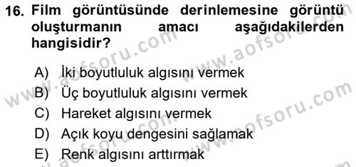 Görsel Estetik Dersi 2018 - 2019 Yılı (Final) Dönem Sonu Sınav Soruları 16. Soru