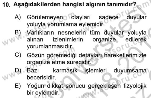 Görsel Estetik Dersi 2018 - 2019 Yılı Yaz Okulu Sınav Soruları 10. Soru