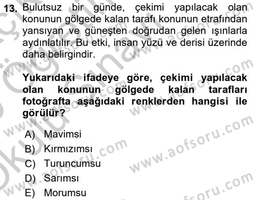 Görsel Estetik Dersi 2018 - 2019 Yılı Yaz Okulu Sınav Soruları 13. Soru