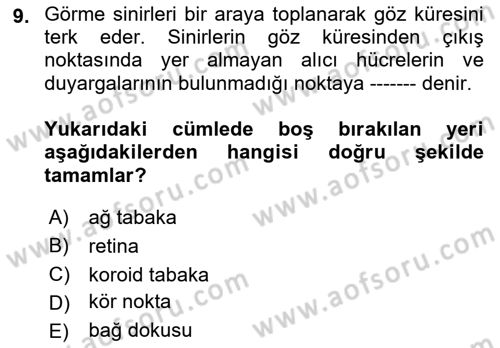 Görsel Estetik Dersi 2018 - 2019 Yılı Yaz Okulu Sınav Soruları 9. Soru
