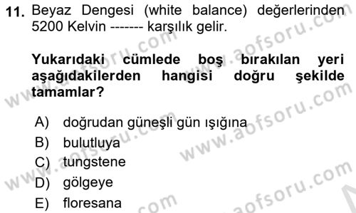 Görsel Estetik Dersi 2019 - 2020 Yılı (Vize) Ara Sınav Soruları 11. Soru