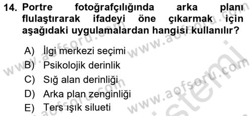 Görsel Estetik Dersi 2019 - 2020 Yılı (Vize) Ara Sınav Soruları 14. Soru