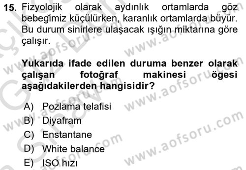 Görsel Estetik Dersi 2019 - 2020 Yılı (Vize) Ara Sınav Soruları 15. Soru