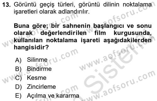 Görsel Estetik Dersi 2019 - 2020 Yılı (Final) Dönem Sonu Sınav Soruları 13. Soru
