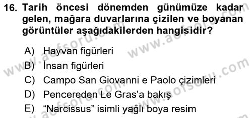 Görsel Estetik Dersi 2019 - 2020 Yılı (Final) Dönem Sonu Sınav Soruları 16. Soru
