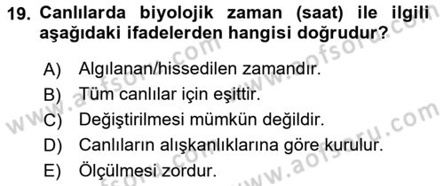 Görsel Estetik Dersi 2019 - 2020 Yılı (Final) Dönem Sonu Sınav Soruları 19. Soru