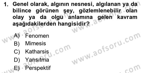 Görsel Estetik Dersi 2020 - 2021 Yılı Yaz Okulu Sınav Soruları 1. Soru