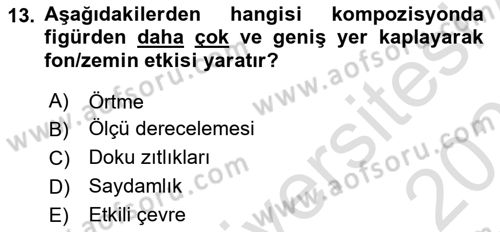 Görsel Estetik Dersi 2020 - 2021 Yılı Yaz Okulu Sınav Soruları 13. Soru