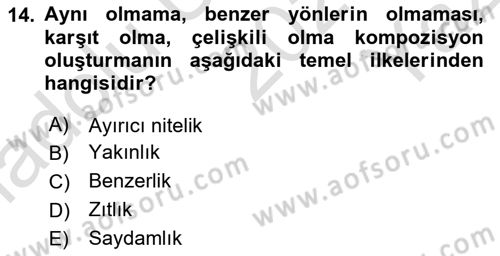 Görsel Estetik Dersi 2020 - 2021 Yılı Yaz Okulu Sınav Soruları 14. Soru