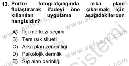 Görsel Estetik Dersi 2021 - 2022 Yılı (Vize) Ara Sınav Soruları 13. Soru