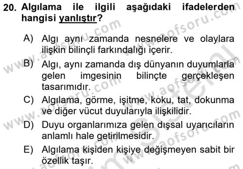 Görsel Estetik Dersi 2021 - 2022 Yılı (Vize) Ara Sınav Soruları 20. Soru