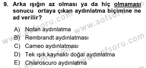 Görsel Estetik Dersi 2021 - 2022 Yılı (Final) Dönem Sonu Sınav Soruları 9. Soru