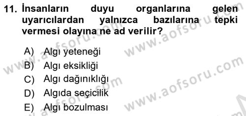 Görsel Estetik Dersi 2021 - 2022 Yılı Yaz Okulu Sınav Soruları 11. Soru
