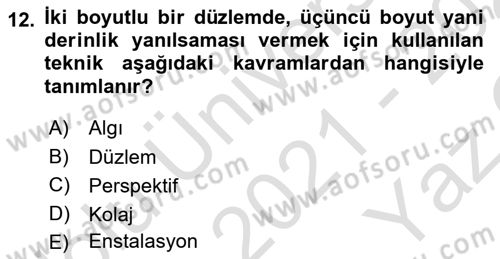 Görsel Estetik Dersi 2021 - 2022 Yılı Yaz Okulu Sınav Soruları 12. Soru