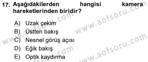 Görsel Estetik Dersi 2021 - 2022 Yılı Yaz Okulu Sınav Soruları 17. Soru