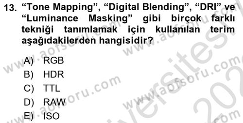 Görsel Estetik Dersi 2022 - 2023 Yılı (Vize) Ara Sınav Soruları 13. Soru