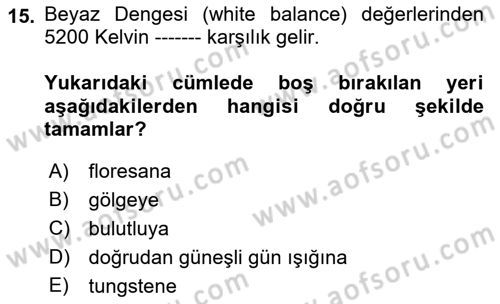 Görsel Estetik Dersi 2022 - 2023 Yılı (Vize) Ara Sınavı 15. Soru