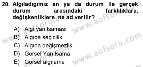 Görsel Estetik Dersi 2022 - 2023 Yılı (Vize) Ara Sınavı 20. Soru