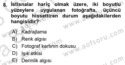 Görsel Estetik Dersi 2022 - 2023 Yılı (Vize) Ara Sınav Soruları 8. Soru