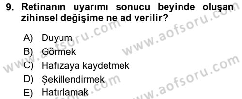 Görsel Estetik Dersi 2022 - 2023 Yılı (Vize) Ara Sınavı 9. Soru