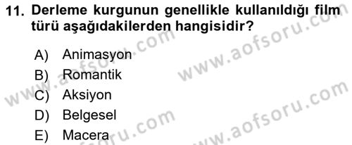 Görsel Estetik Dersi 2022 - 2023 Yılı (Final) Dönem Sonu Sınav Soruları 11. Soru