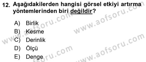 Görsel Estetik Dersi 2022 - 2023 Yılı (Final) Dönem Sonu Sınav Soruları 12. Soru