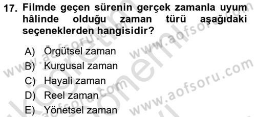 Görsel Estetik Dersi 2022 - 2023 Yılı (Final) Dönem Sonu Sınav Soruları 17. Soru
