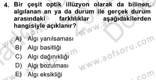 Görsel Estetik Dersi 2022 - 2023 Yılı (Final) Dönem Sonu Sınav Soruları 4. Soru