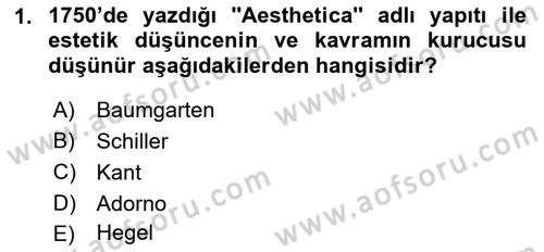Görsel Estetik Dersi 2022 - 2023 Yılı Yaz Okulu Sınav Soruları 1. Soru