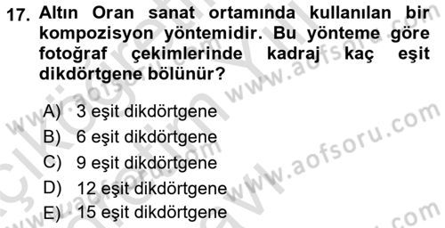 Görsel Estetik Dersi 2022 - 2023 Yılı Yaz Okulu Sınav Soruları 17. Soru